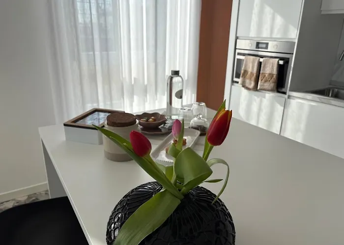 La Terrazza Sul Corso *