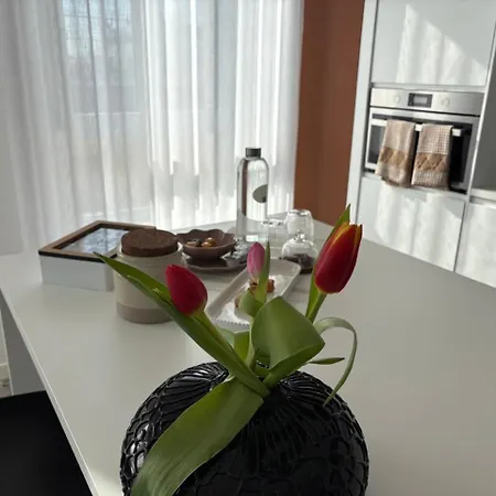 La Terrazza Sul Corso *